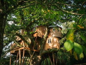 Luxury Family Friendly Treehouse Hideaway in Hotel Grounds, Eggesford, Devon, England